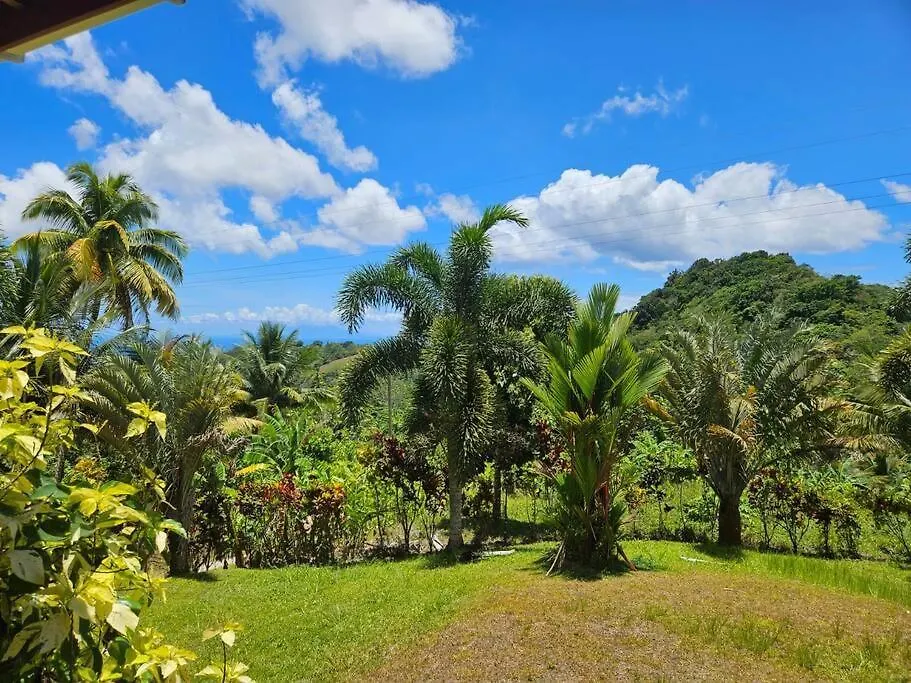 Willa Jardin Damon Soufrière